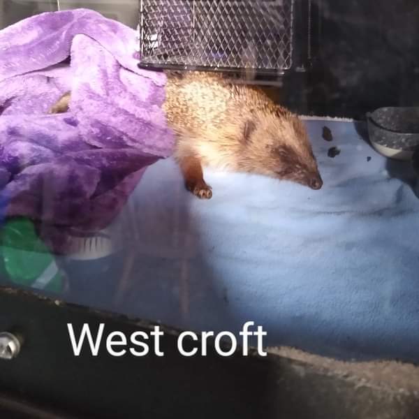 On April 19th I had a missed call from west croft school.